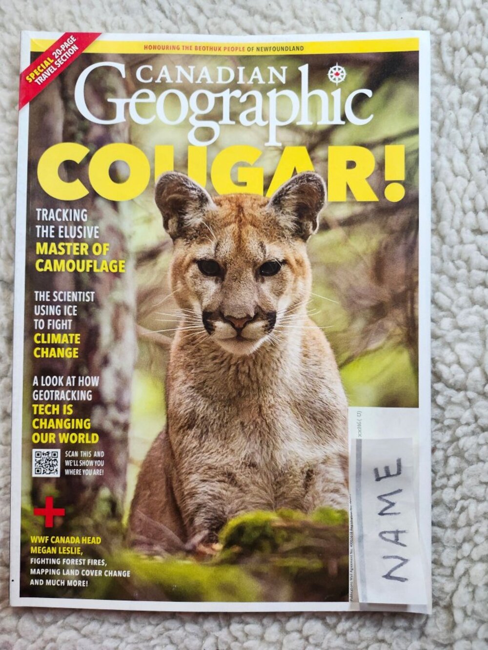 Canadian Geographic Magazine Cougar Cover Wildlife The Canada Untold Issue